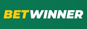 9bet casino